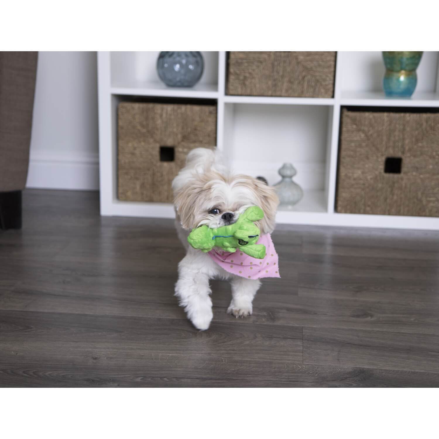 Godog Dinos T-Rex Just For Me Squeaky Plush Dog Toy - Green Mini