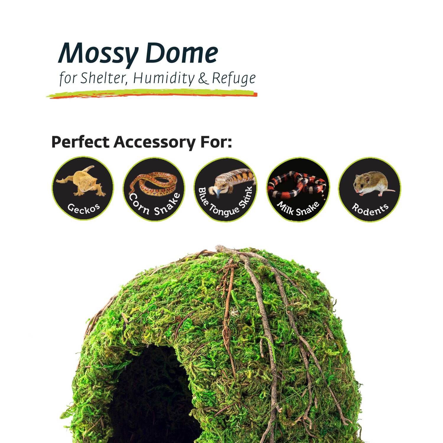 Gal&aacute;pagos Mossy Dome Reptile Hideout, Green, 6In Diameter