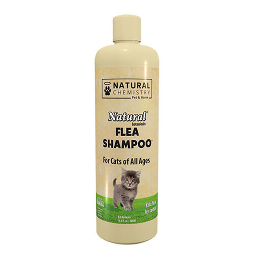 Natural Flea Shampoo For Cats