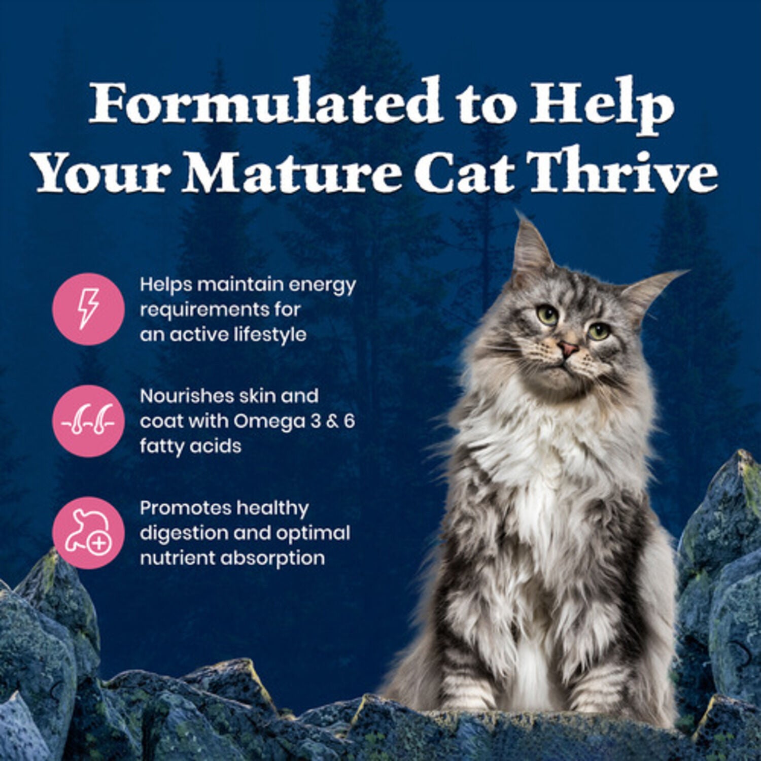 Blue Buffalo Wilderness Mature High-Protein & Grain-Free Salmon Recipe Dry Cat Food, 5-Lb Bag