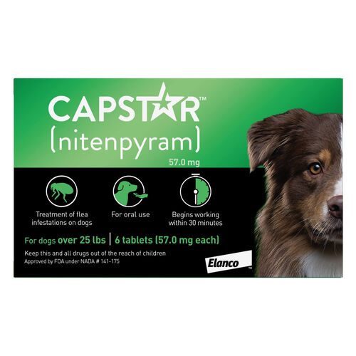 Capstar Flea Oral Treatment For Dogs, Over 25 Lbs
