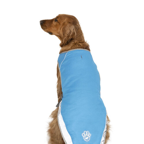 Canada Pooch Chill Seeker Cooling Dog Vest - Blue