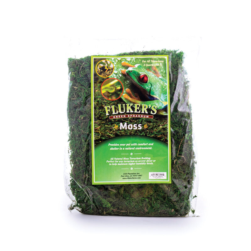 Green Moss Bedding Substrate For Reptiles image number 1