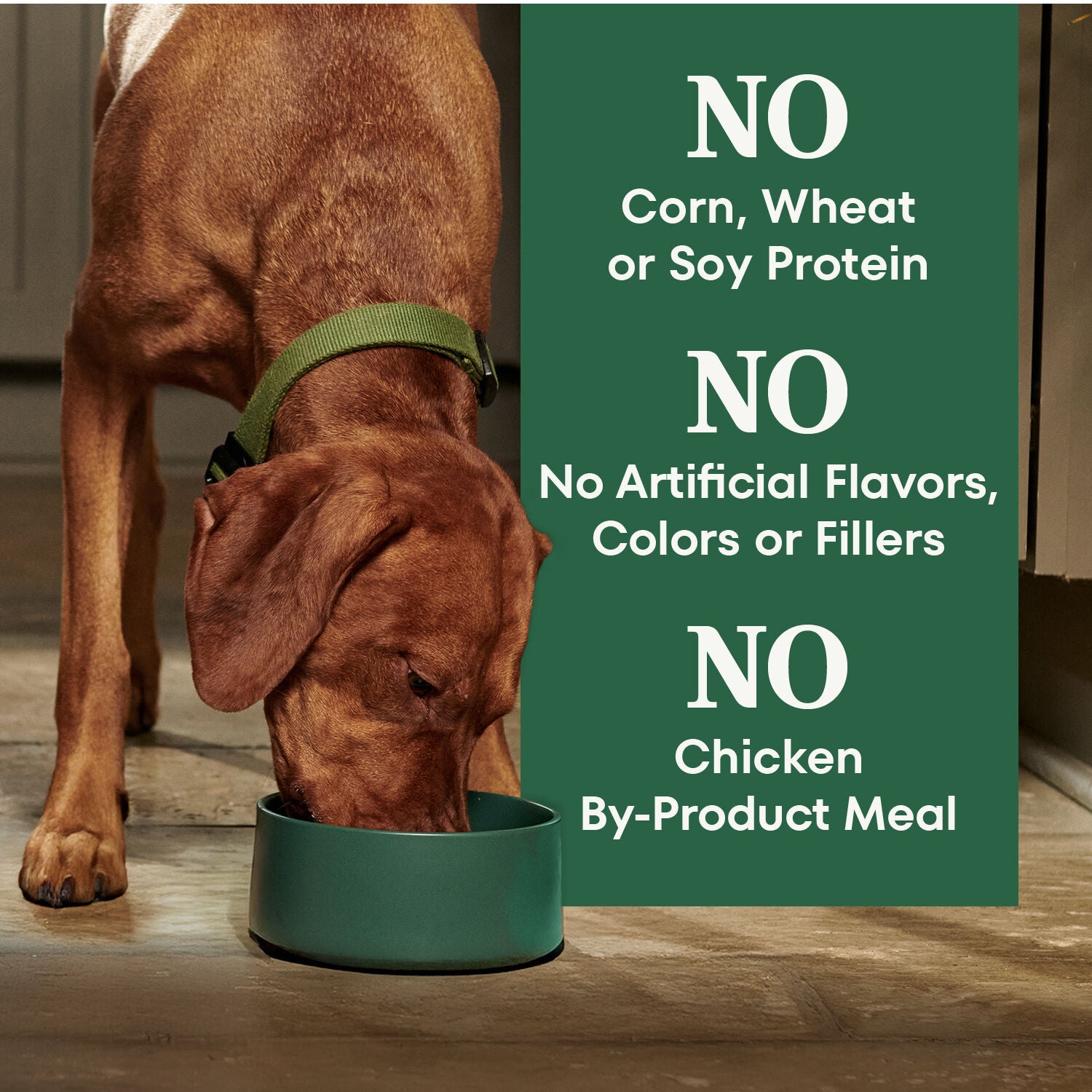 Nutro Natural Choice Chicken & Brown Rice Recipe Adult Dry Dog Food, 22-Lb Bag