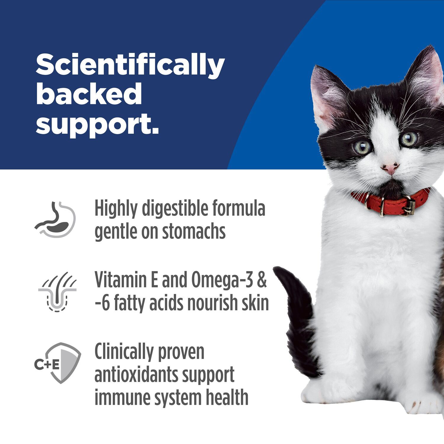 Hill's Science Diet Kitten Sensitive Stomach & Skin Salmon & Brown Rice Recipe Dry Cat Food, 6-Lb Bag