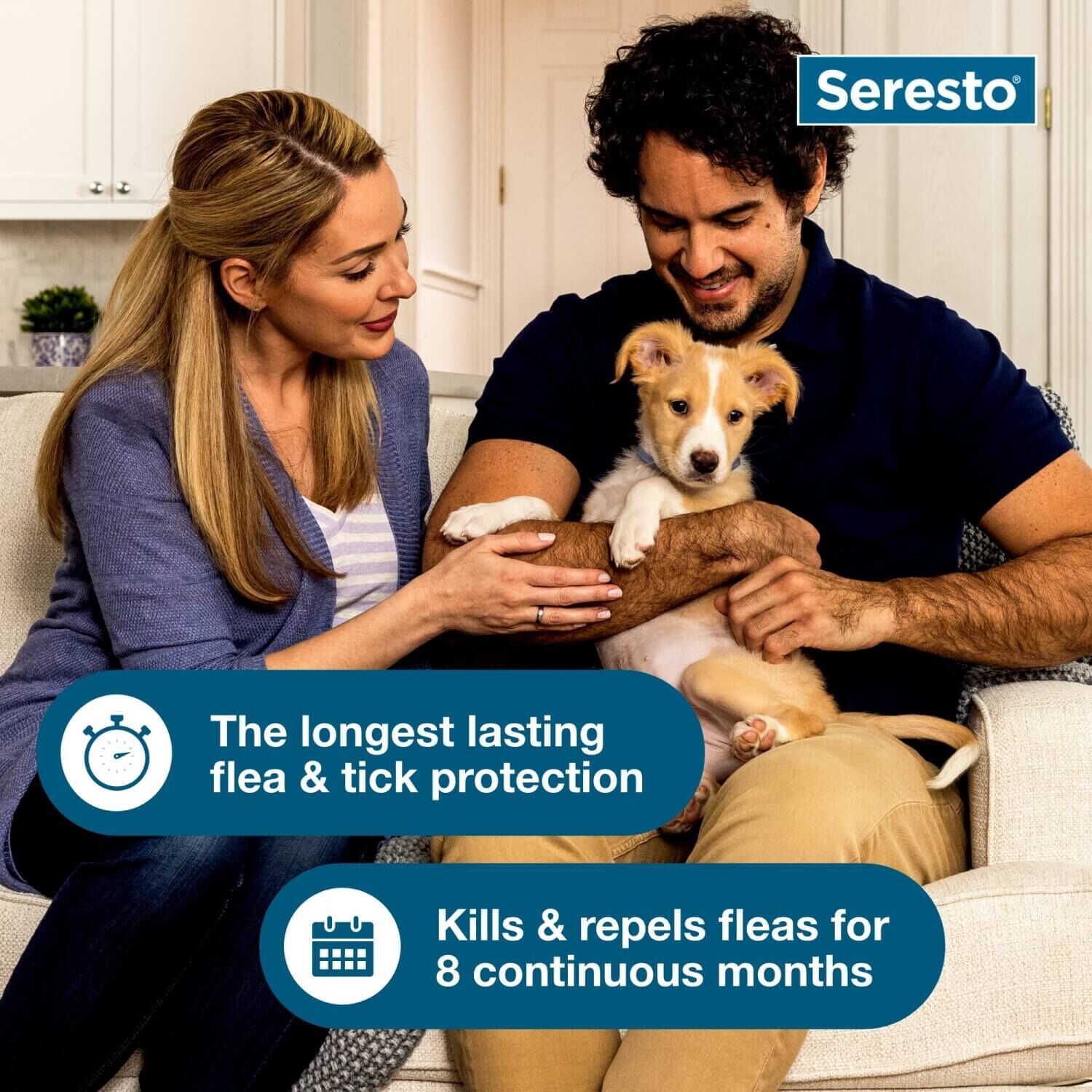 Seresto Flea Tick Collar For Dogs Up To 18 Lbs 1ea Pet Supermarket