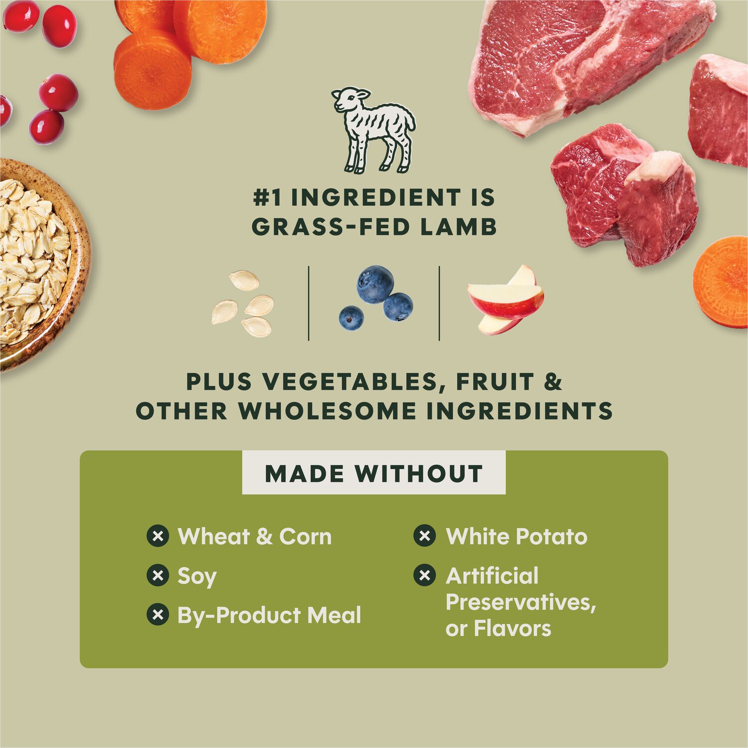 Instinct Raw Boost Whole Grain Real Lamb & Oatmeal Recipe Dry Dog Food, 3.5-Lb Bag