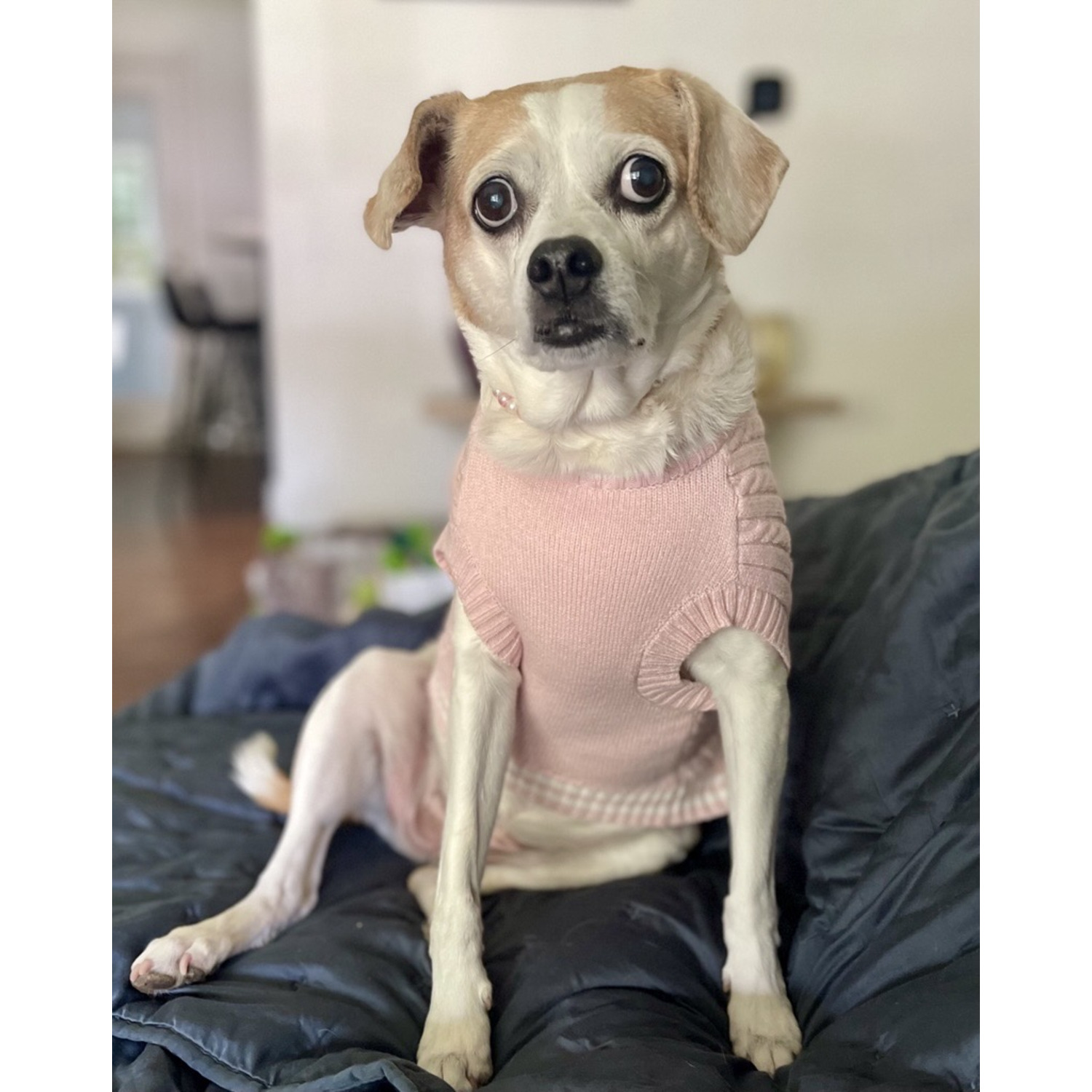 Fabdog Pink Preppy Dog Sweater Vest, Large