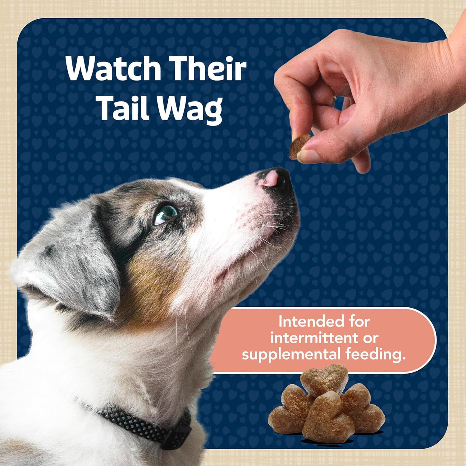 Blue Buffalo Blue Bits Soft-Moist Training Savory Salmon Recipe Dog Treats, 4-Oz