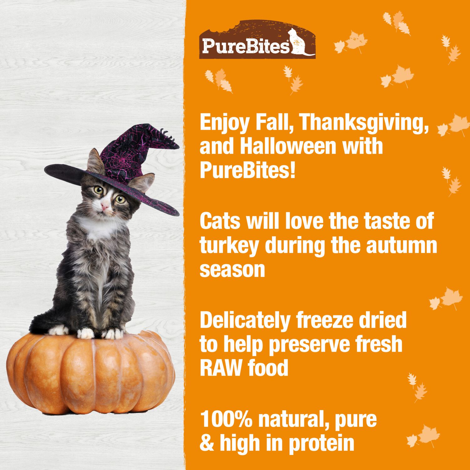 Purebites Fall Freeze-Dried Turkey High-Protein Cat Treats, 0.81-Oz Bag