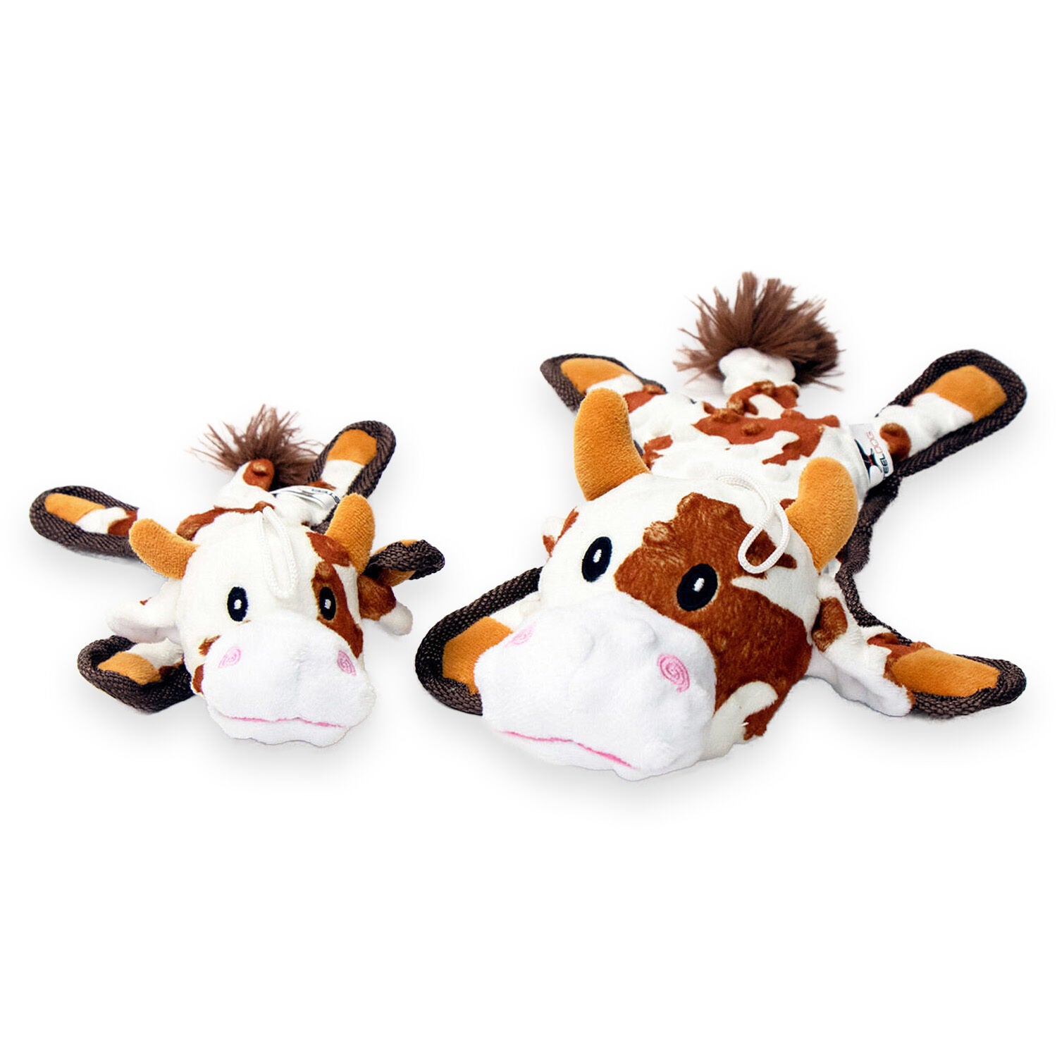 Baby Bump Cow