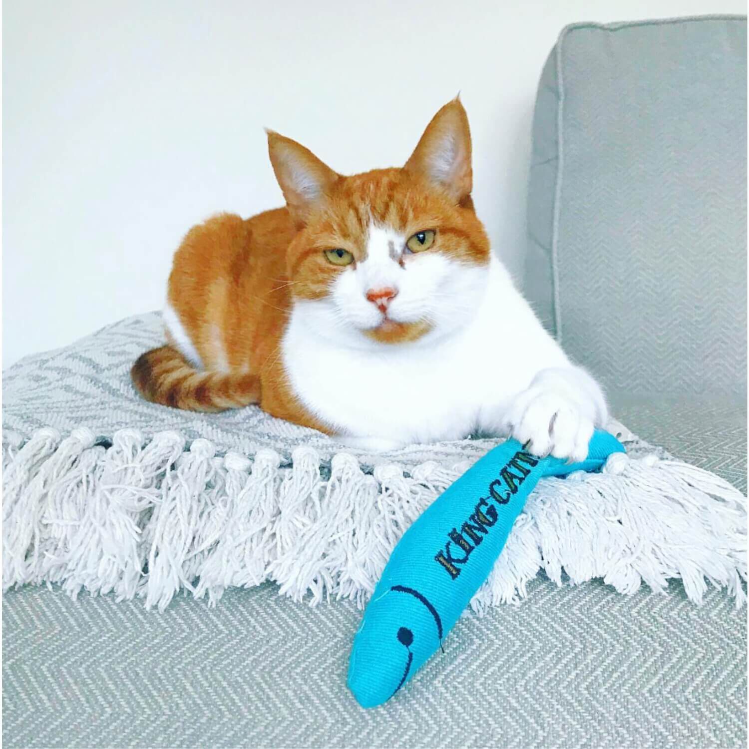 King Catnip Sardine Cat Toy Filled With Organic Catnip