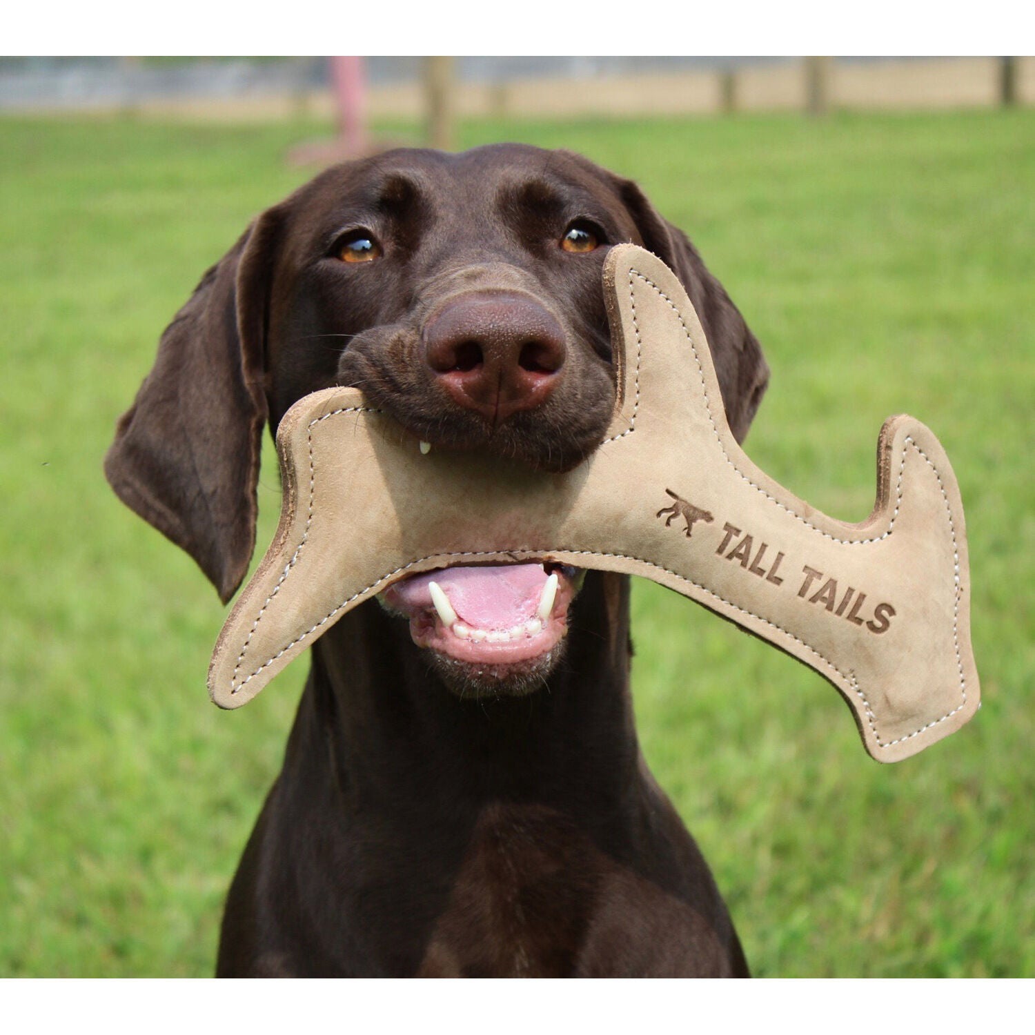 Tall Tails Natural Durable Leather Antler Dog Toy, 11"