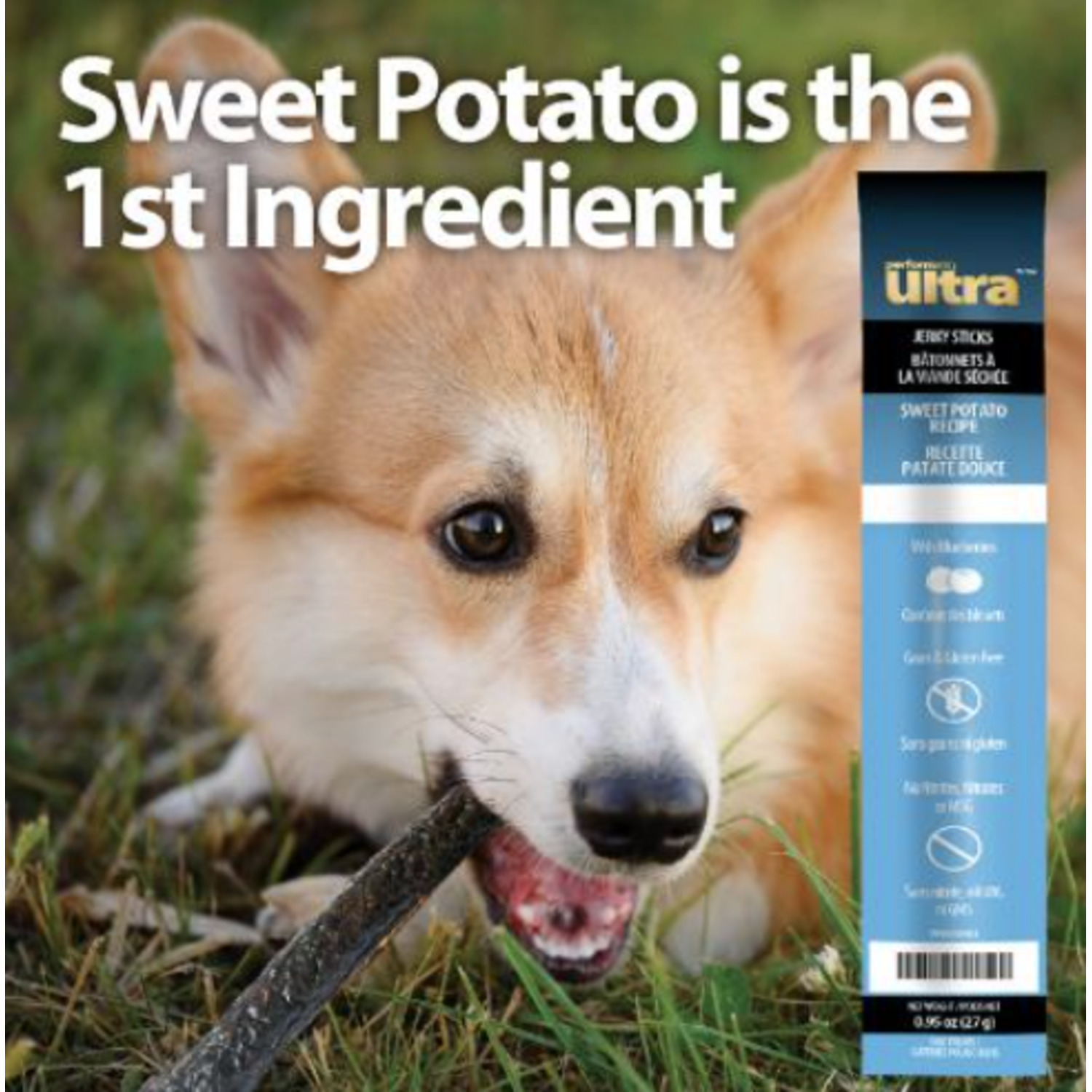 Performatrin Ultra&nbsp;Jerky Sticks Sweet Potato Dog Treats, 1-Each