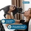 Seresto Flea & Tick Treatment & Prevention Collar For Cats, 8 Months Protection