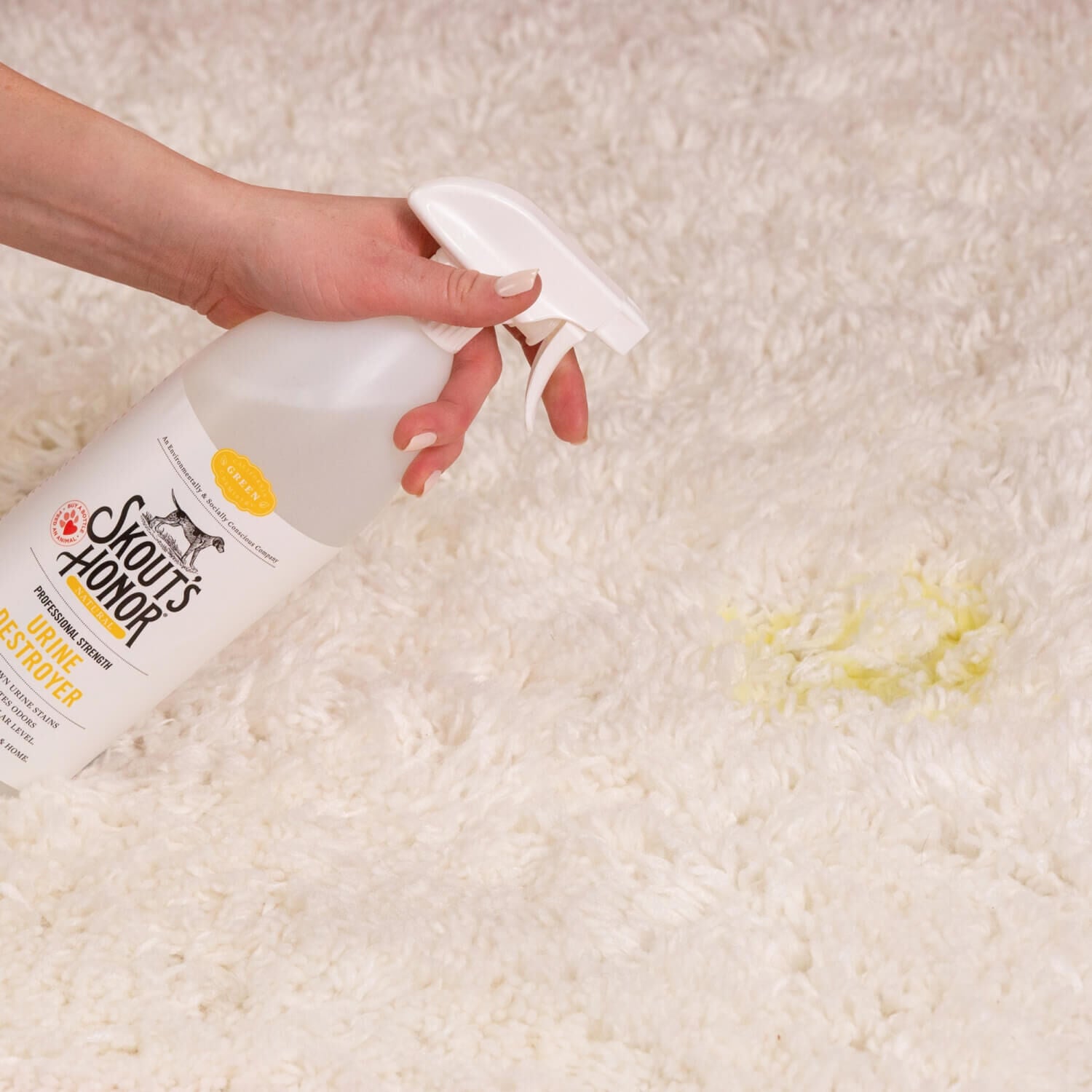 Dog urine store in carpet pad