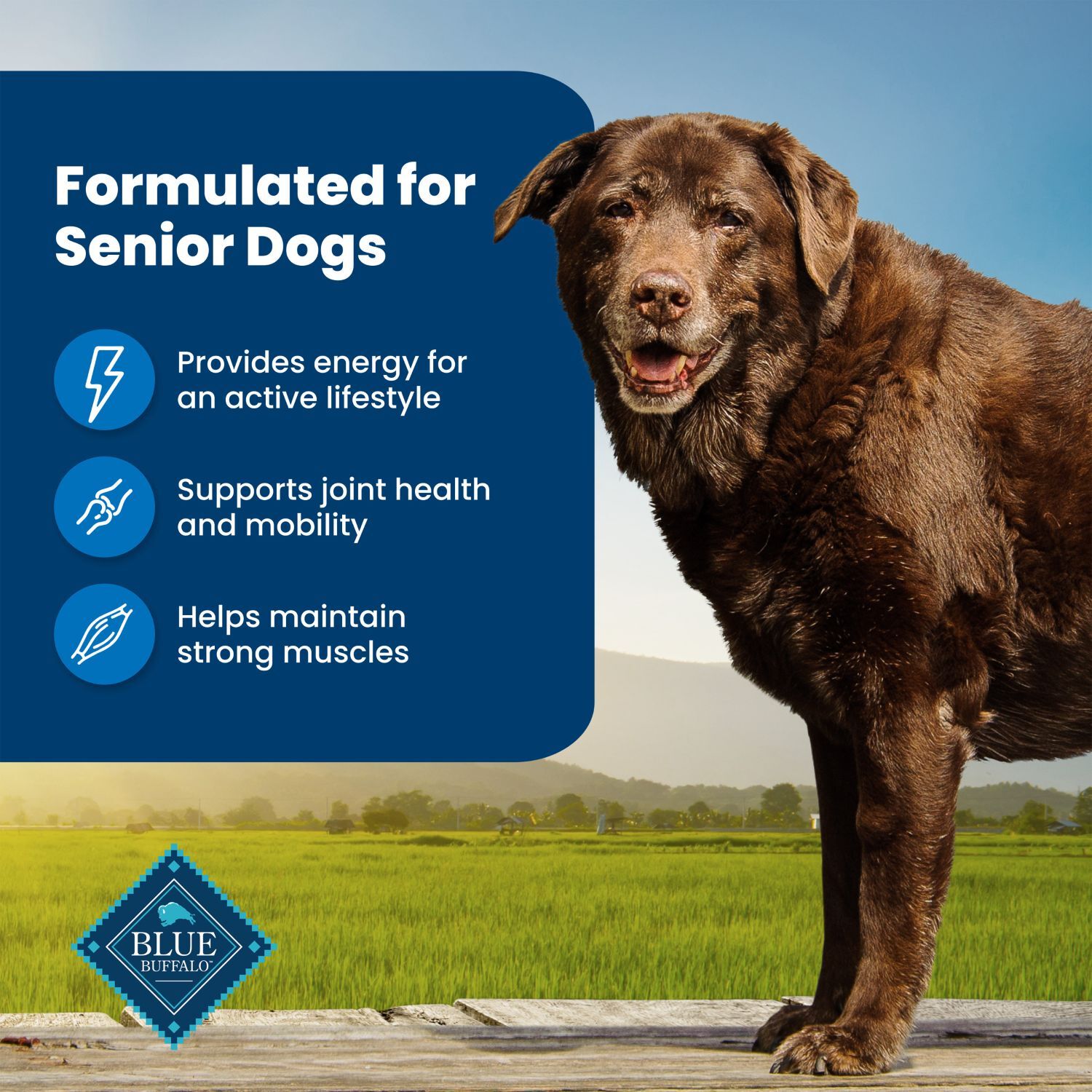 Blue Buffalo Life Protection Chicken & Brown Rice Senior Dog Food, 30-Lb