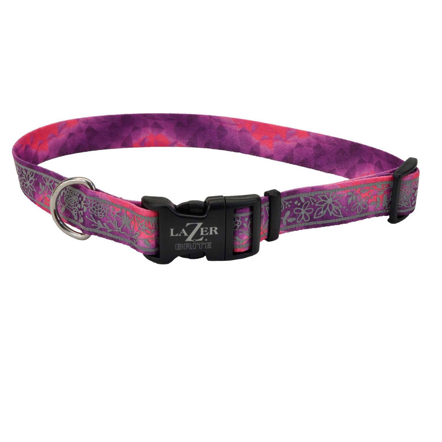 Coastal lazer brite dog collars 2025
