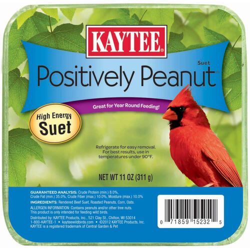 Positively Peanut High Energy Mini Suet For Wildbirds, 11 Oz