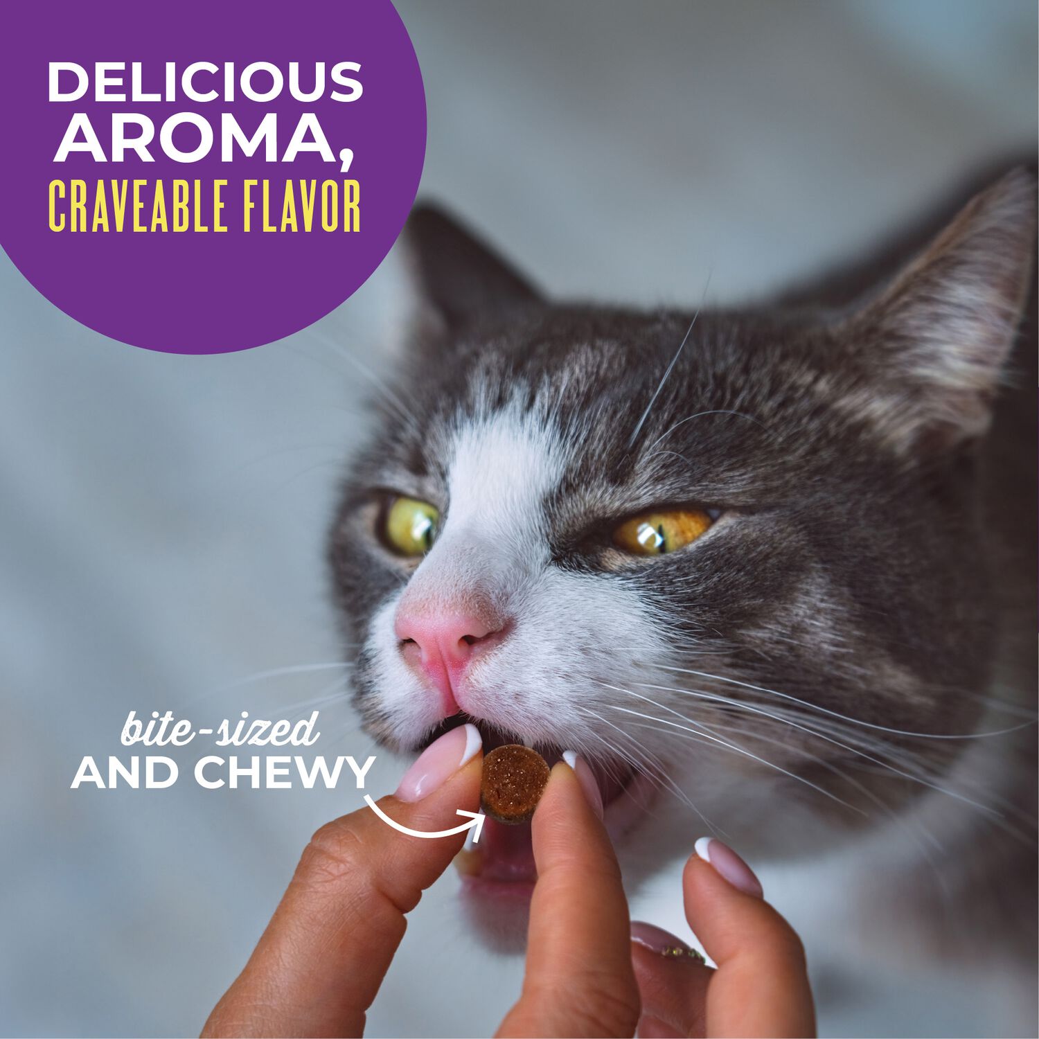 Tiki Cat Soft & Chewy Chicken Flavor Treats, 2-Oz Bag