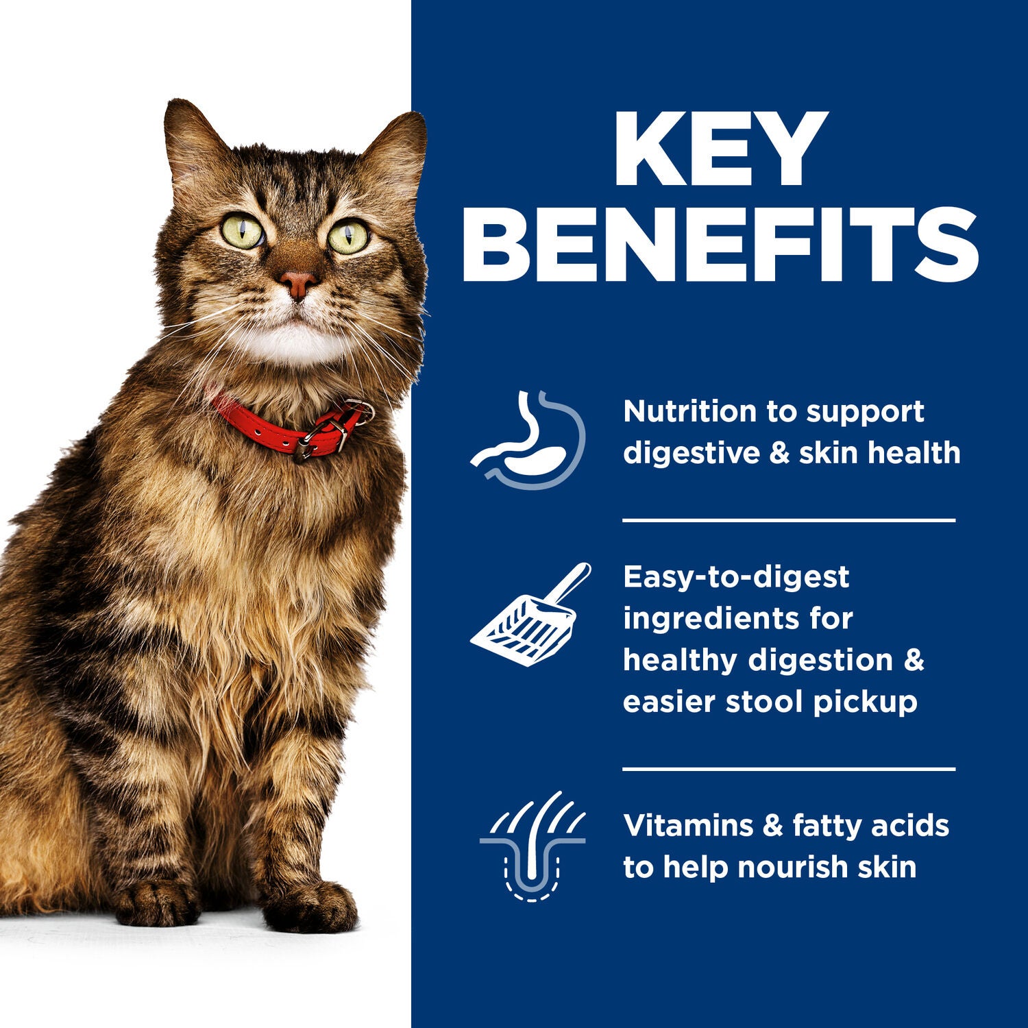 Hill's Science Diet Adult Sensitive Stomach & Skin Canned Wet Cat Food Variety Pack, Tuna & Vegetable And Chicken & Vegetable, 2.9 Oz, 12 Pack