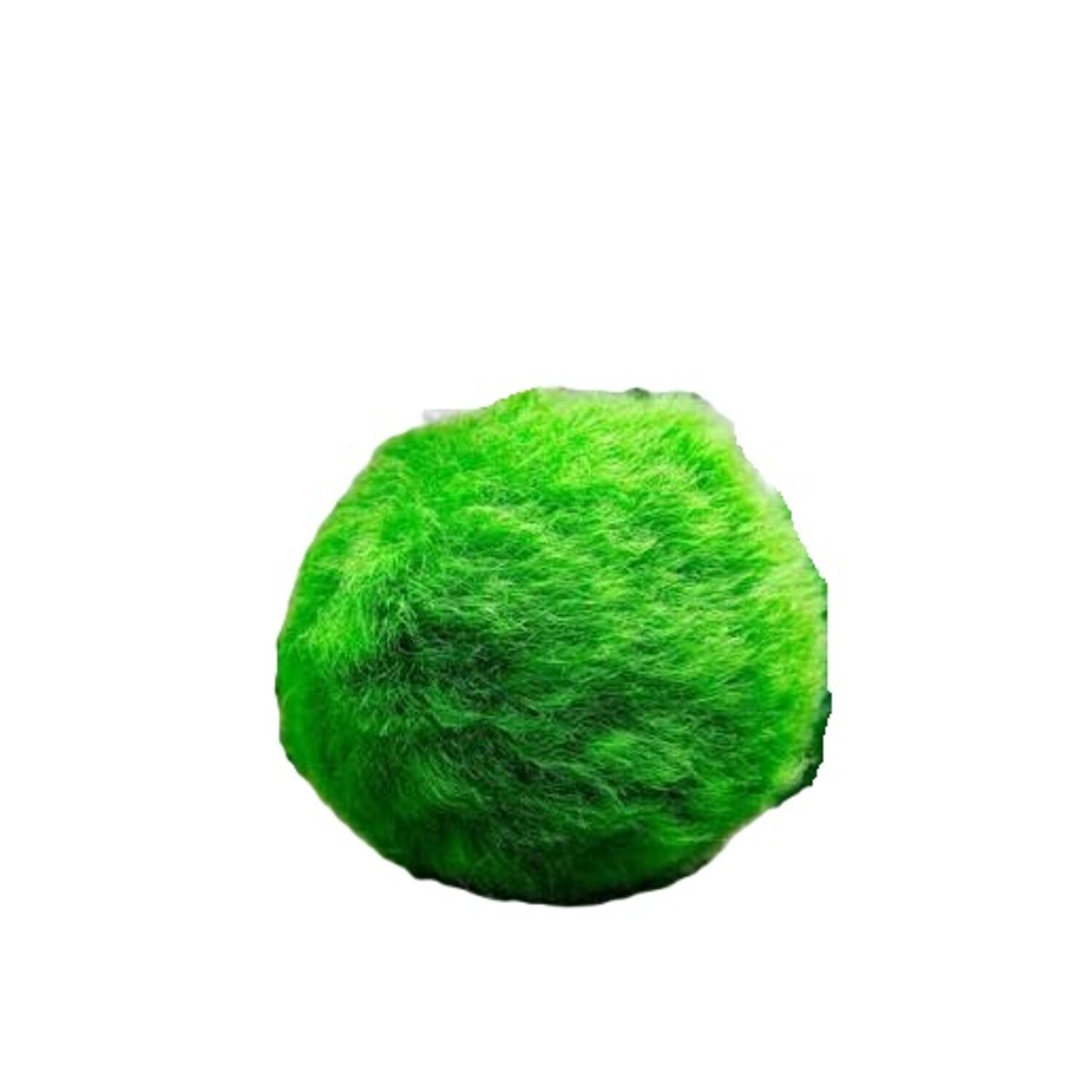 Moss Balls - Large