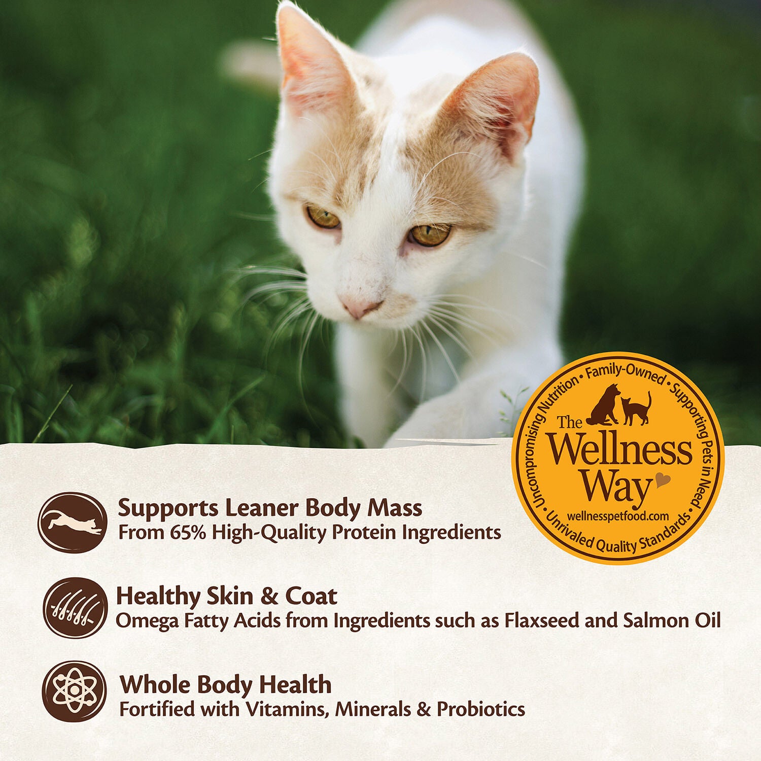 Wellness Core Hearty Cuts Natural Grain Free Chicken & Turkey Wet Cat Food