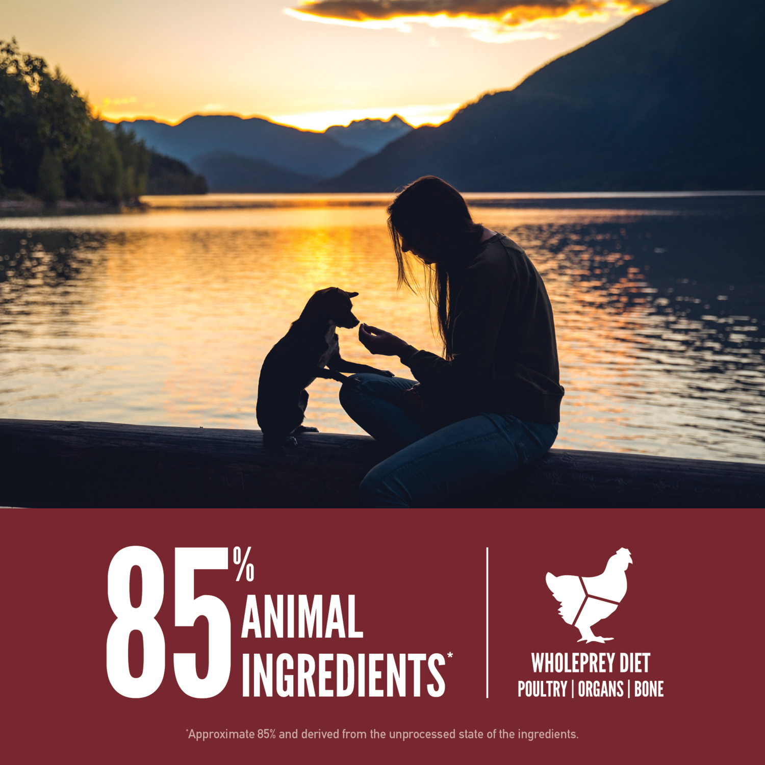 Orijen Small Breed Grain-Free High-Protein Dry Dog Food, 4-Lb Bag