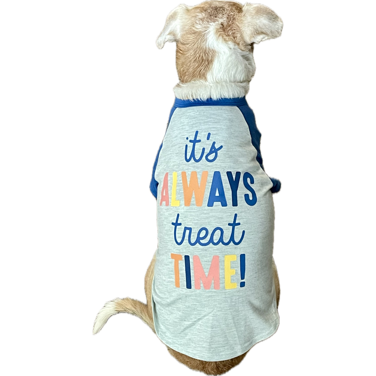 Bailey & Bella Blue It's Always Treat Time Dog T-Shirt