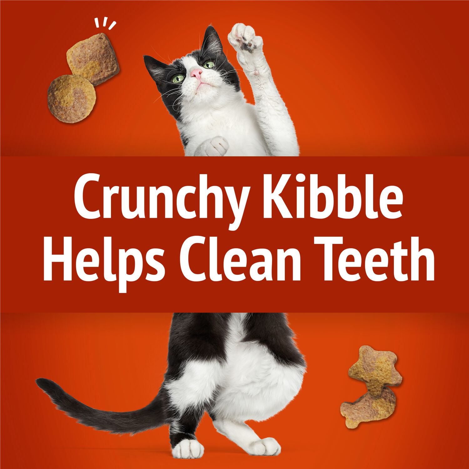 Purina Friskies Party Mix Gravy-Licious Chicken & Gravy Flavor Low-Calorie Crunchy Cat Treats, 20-Oz