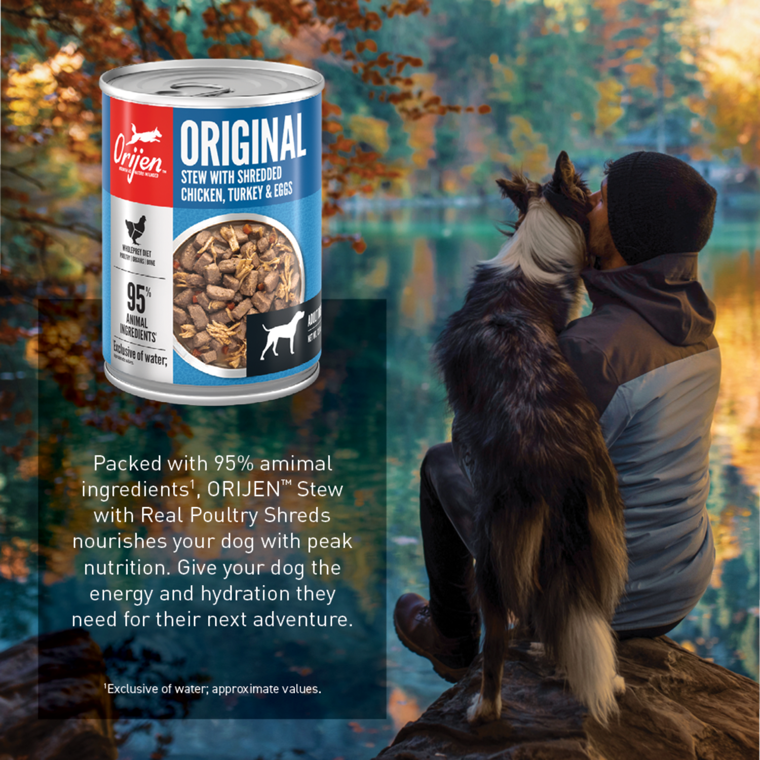 Orijen Original Stew With Shredded Chicken, Turkey & Eggs Wet Dog Food, 12.8-Oz
