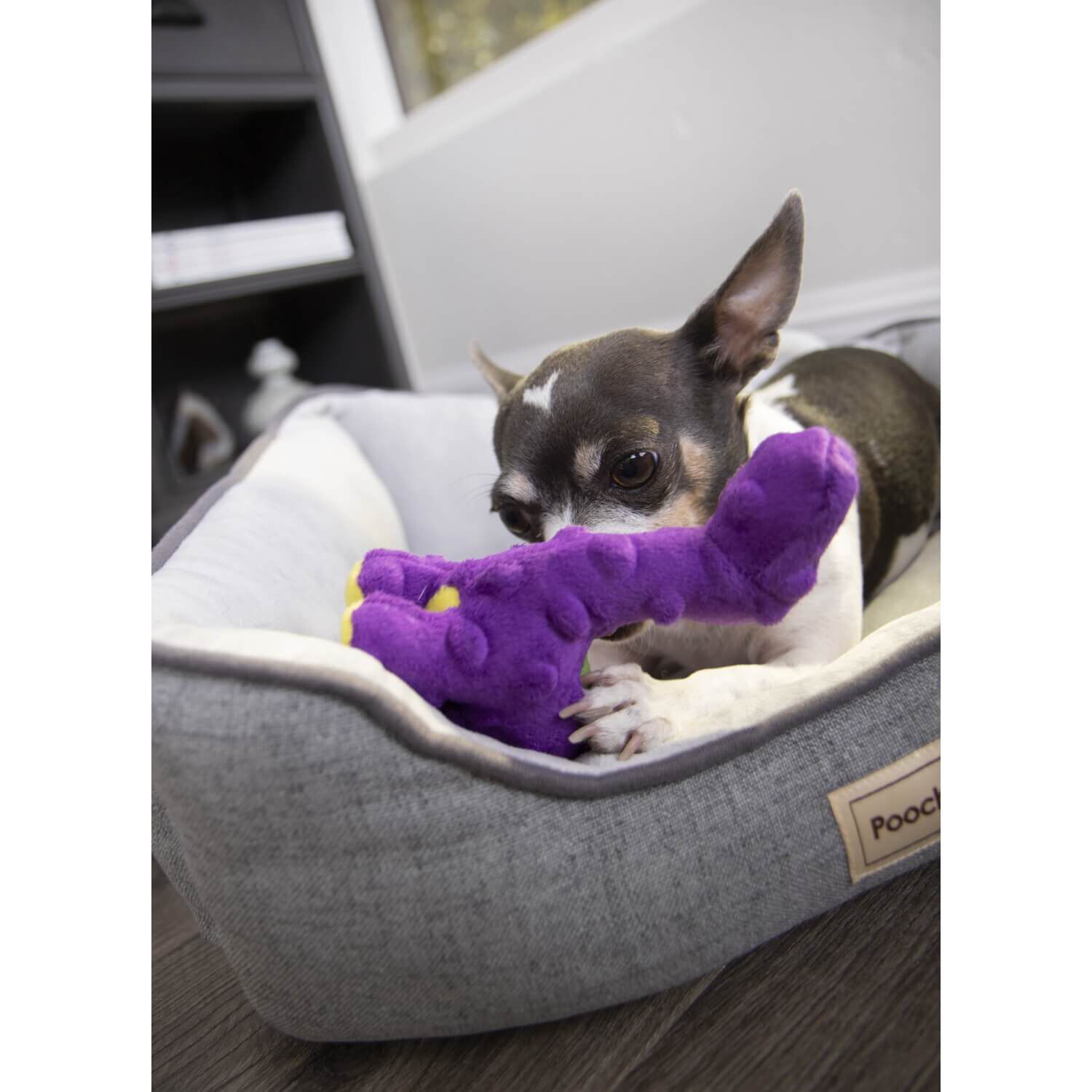 Godog Dinos Bruto Just For Me Squeaky Plush Dog Toy - Purple Mini