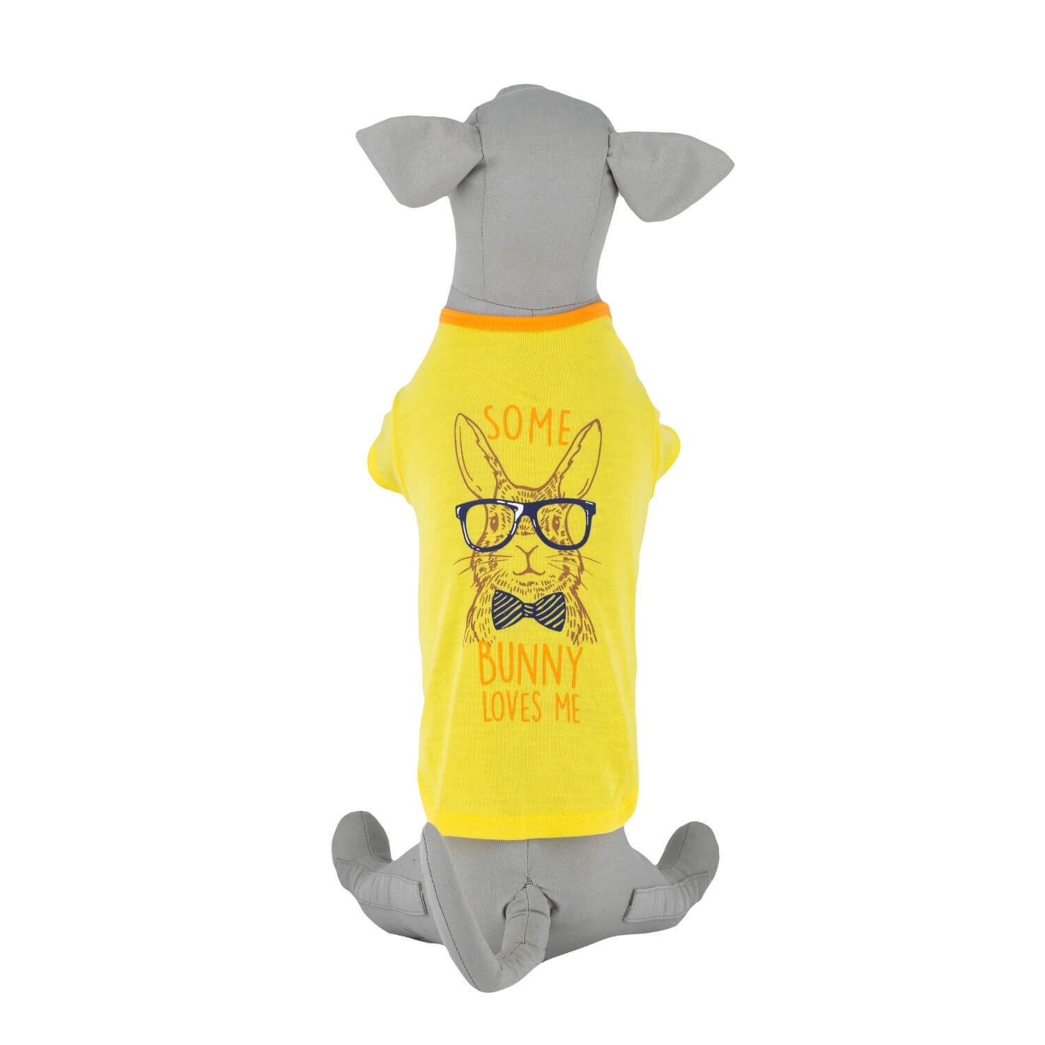 Dog outfits top near me