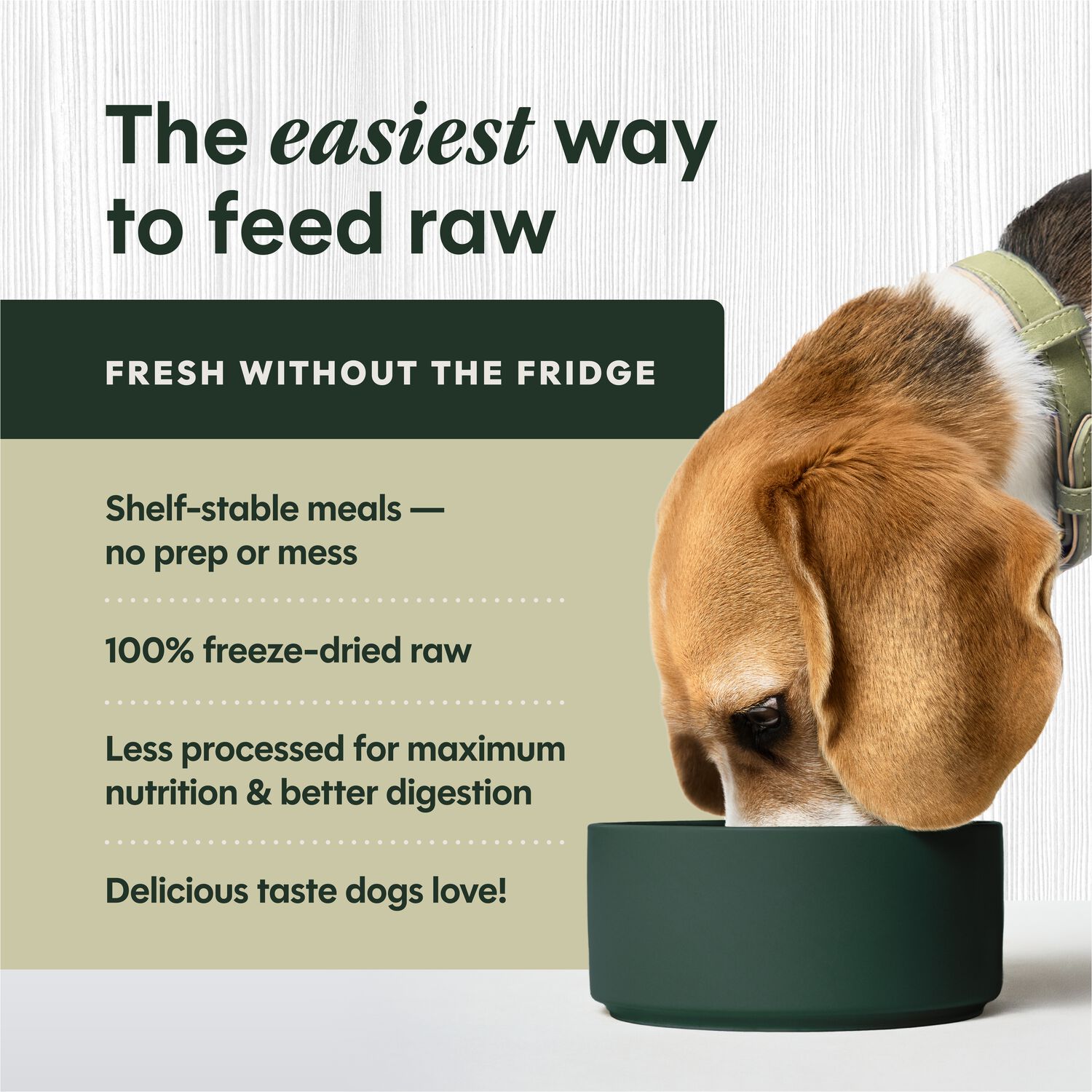 Instinct Raw Meals Freeze-Dried Dog Food - Chicken, 25-Oz