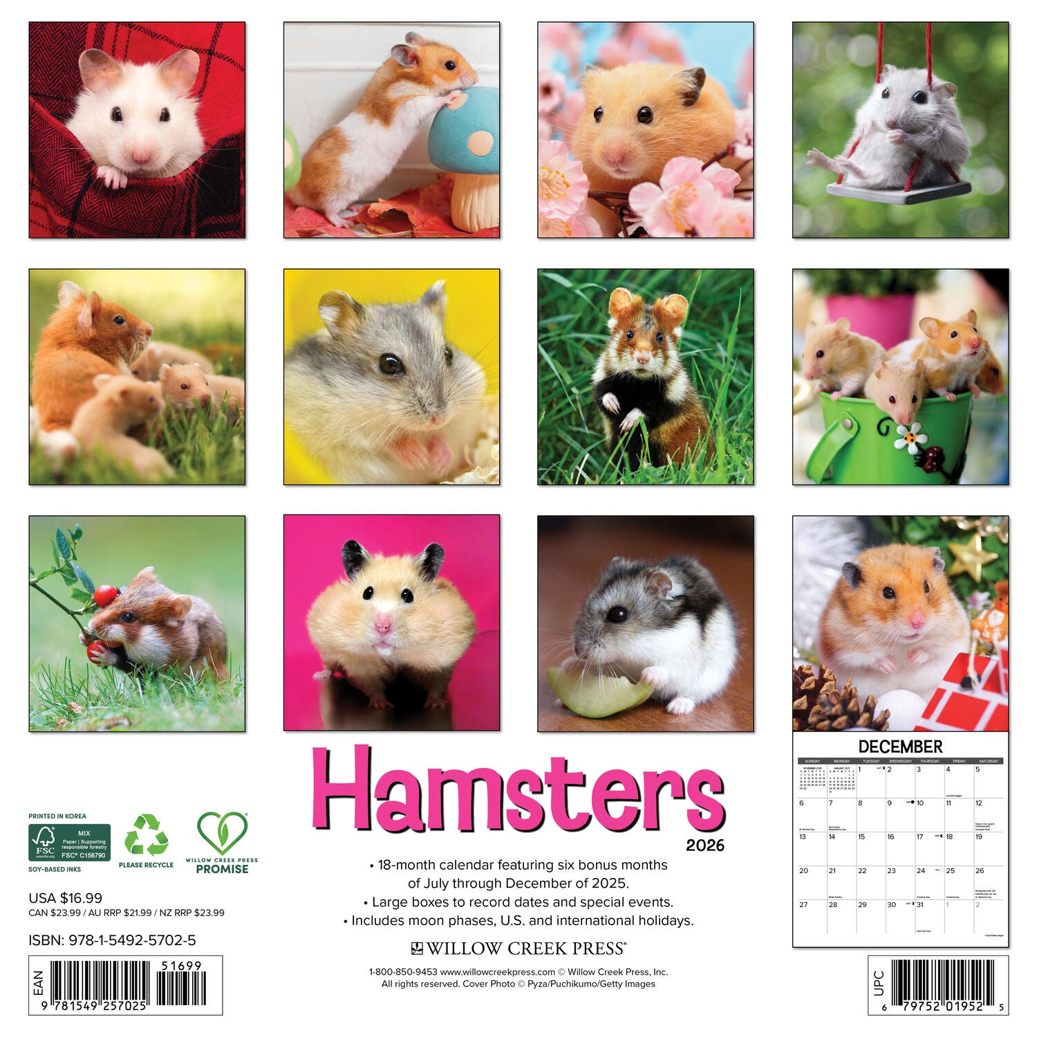 Willow Creek Press 2026 Hamsters Wall Calendar