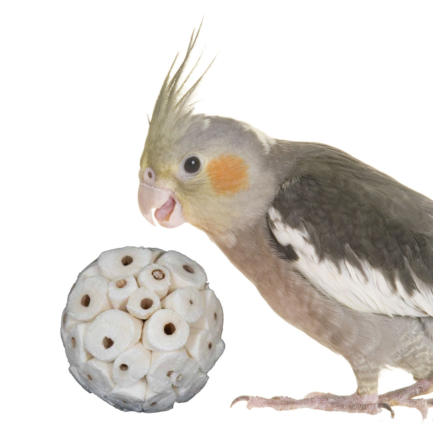 Super Bird Creations Sola Balls Bird Toys, 4-Pack