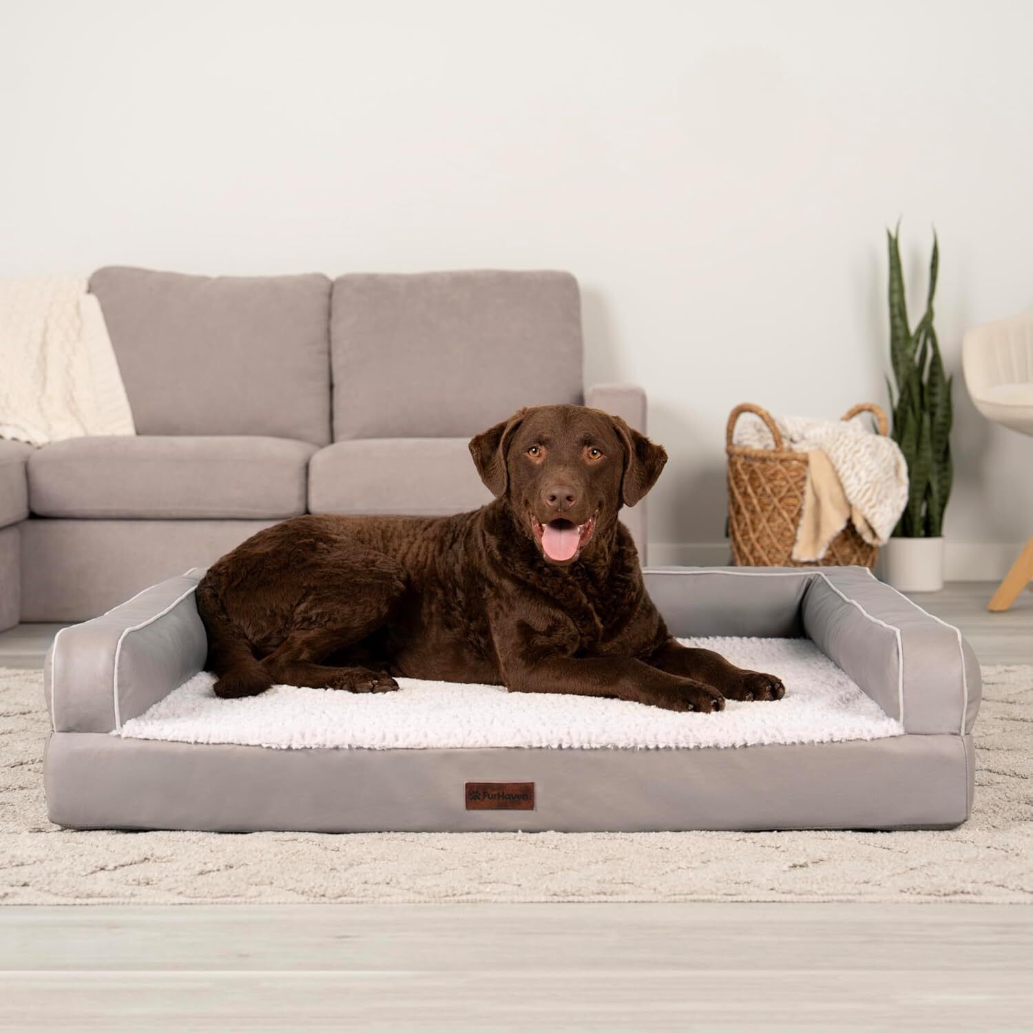 Furhaven Modern Sofa Orthopedic Dog Bed &ndash; Memory Foam Couch With Bolsters, Textured Plush & Water-Resistant Cover, Washable Cover, Joint Support - Greige, Jumbo