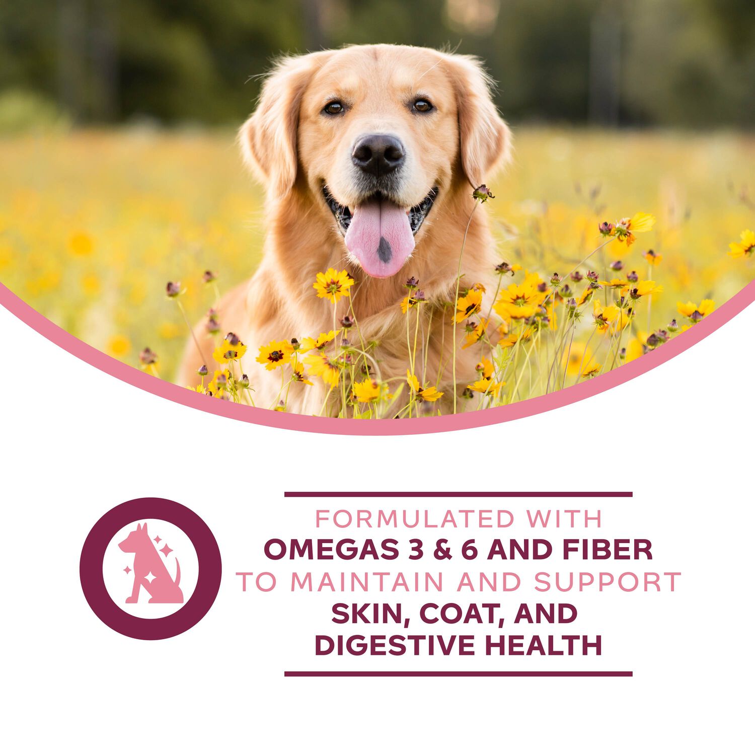 Fromm Nutritionals Sensitive Skin & Stomach Supplement Pate Wet Dog Food, 13-Oz Can