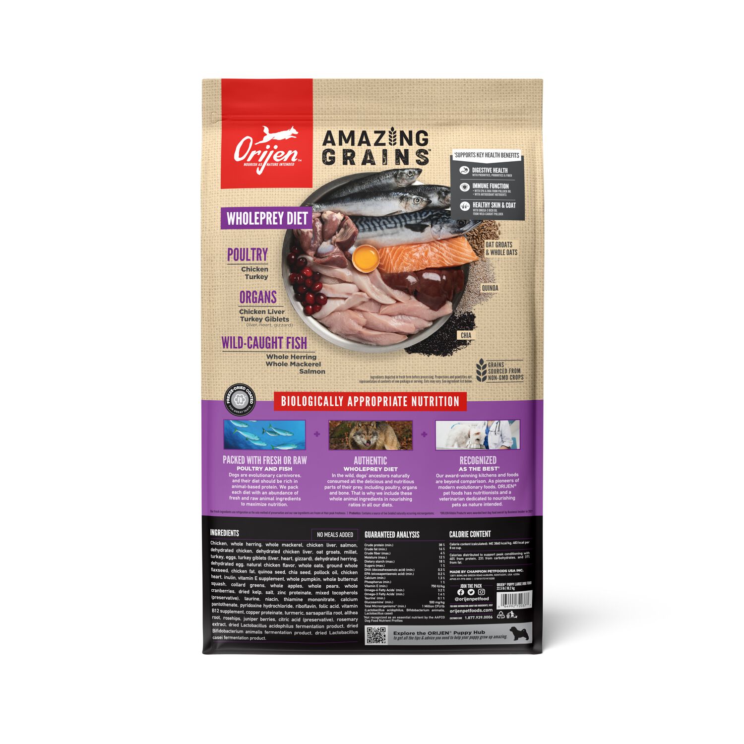Orijen Amazing Grains Puppy Large High-Protein Dry Dog Food, 22.5-Lb Bag