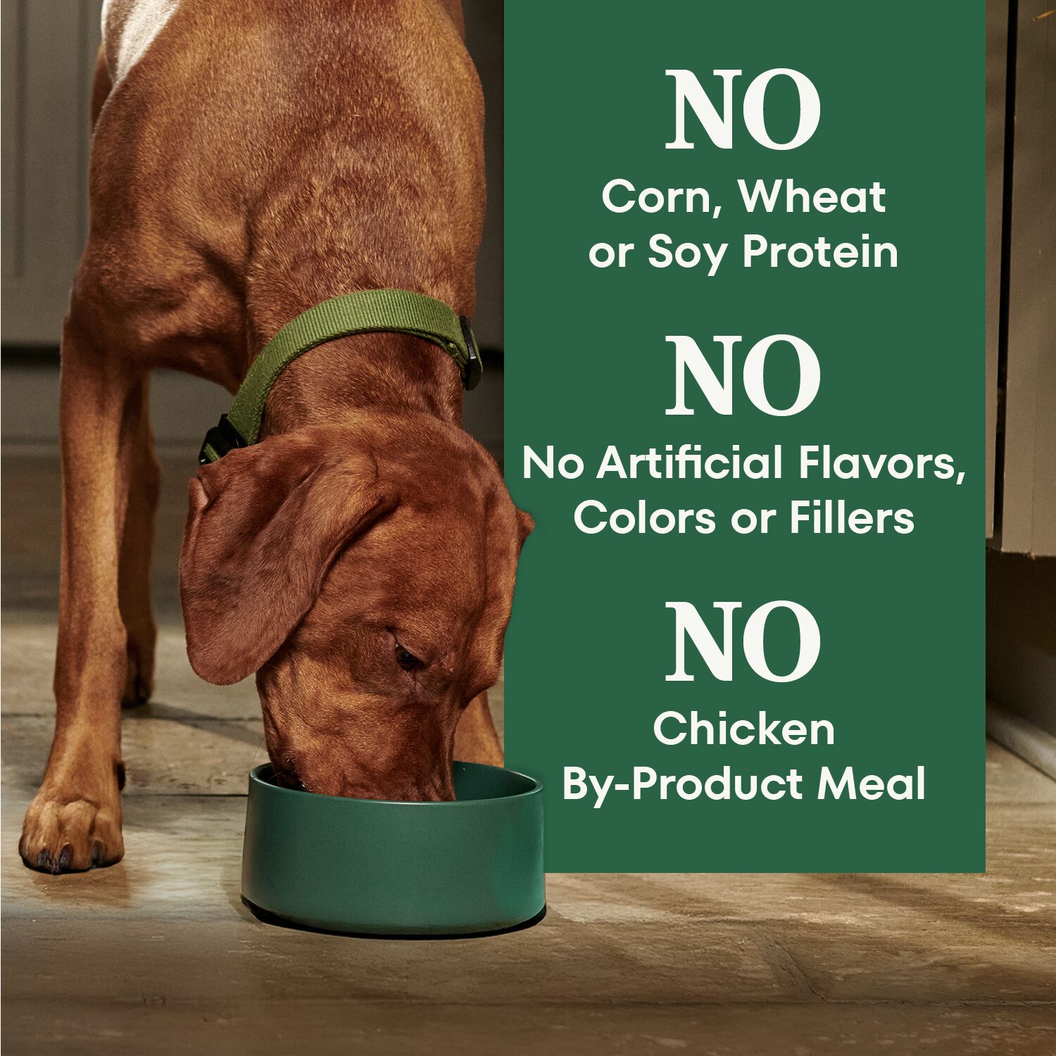 Nutro Natural Choice Beef & Brown Rice Recipe Dry Dog Food, 4.5-Lb