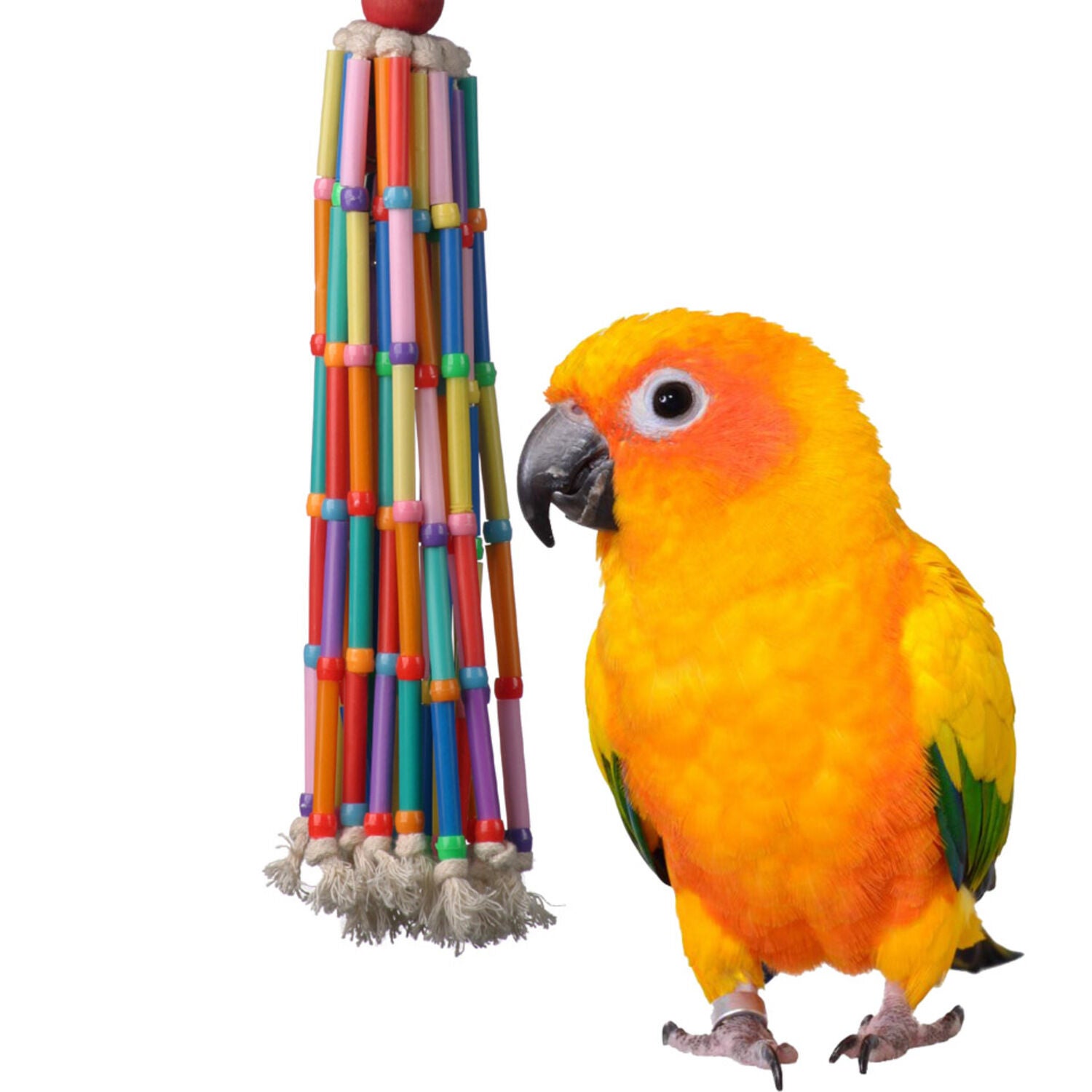 Super Bird Creations Windchimes Bird Toy