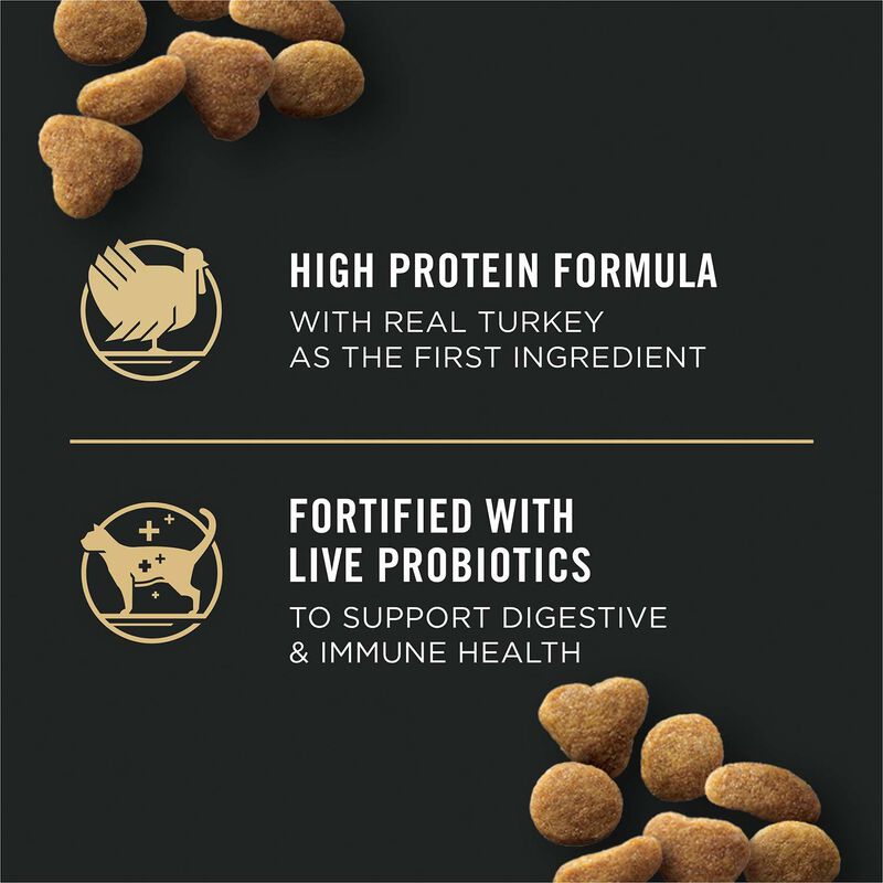 Purina Pro Plan Focus Adult Indoor Care Turkey & Rice Formula Cat Food