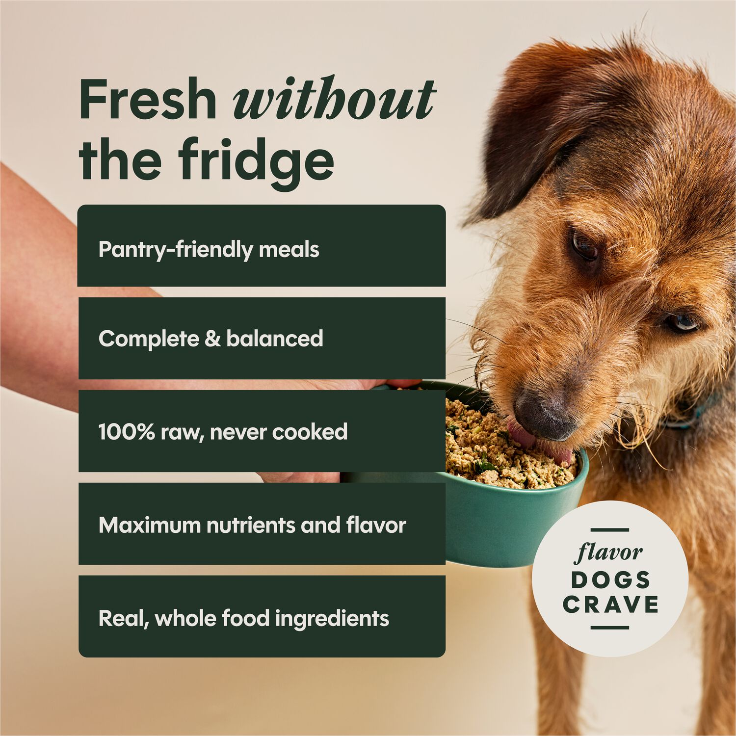 Instinct Freshdried Meal Blends Freeze-Dried Raw Adult Dog Food, Grass-Fed Beef & Wild Berries Recipe, 23-Oz Bag