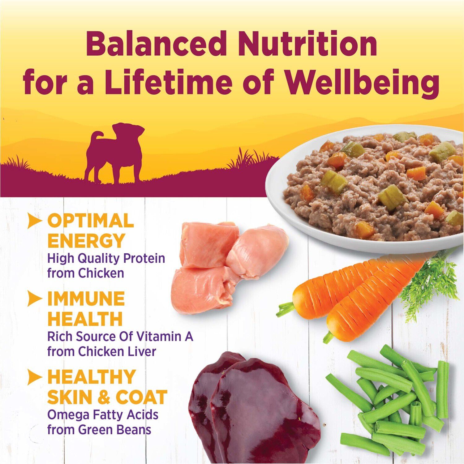 Wellness Petite Entr&eacute;es Small Breed Wet Dog Food Casserole With Tender Chicken, Green Beans & Carrots, 3-Ounce Cup