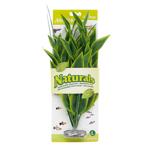 Natural Green Dracena Silk Plant