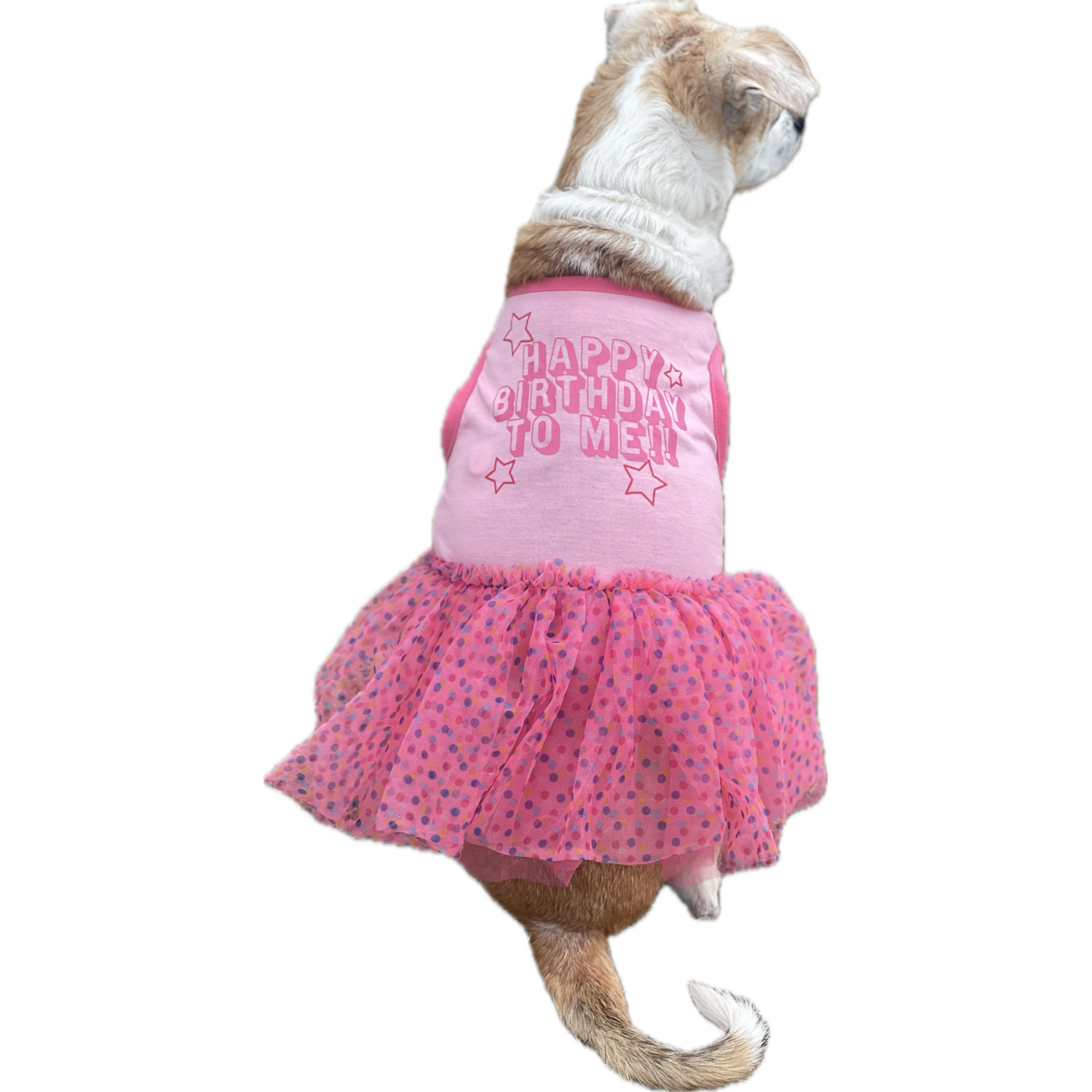 Bailey & Bella Pink Happy Birthday To Me!! Dog Dress