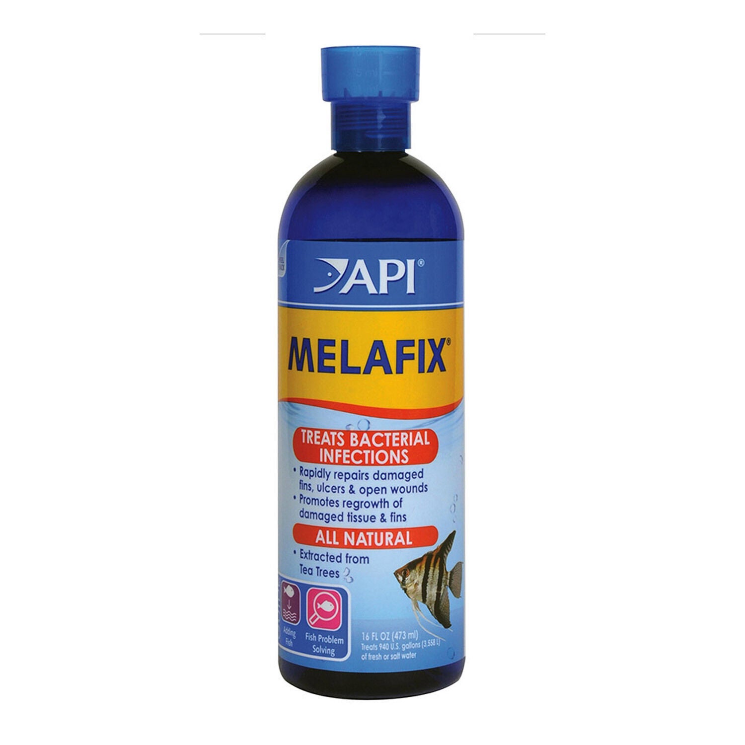 Api Melafix Freshwater Fish Bacterial Infection Fish Medication