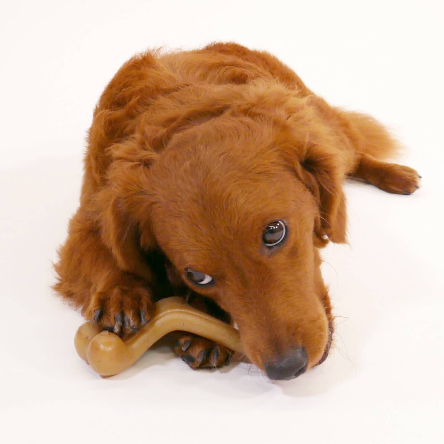 Nylabone Gourmet Style Strong Chew Wishbone Dog Toy - Chicken Flavor
