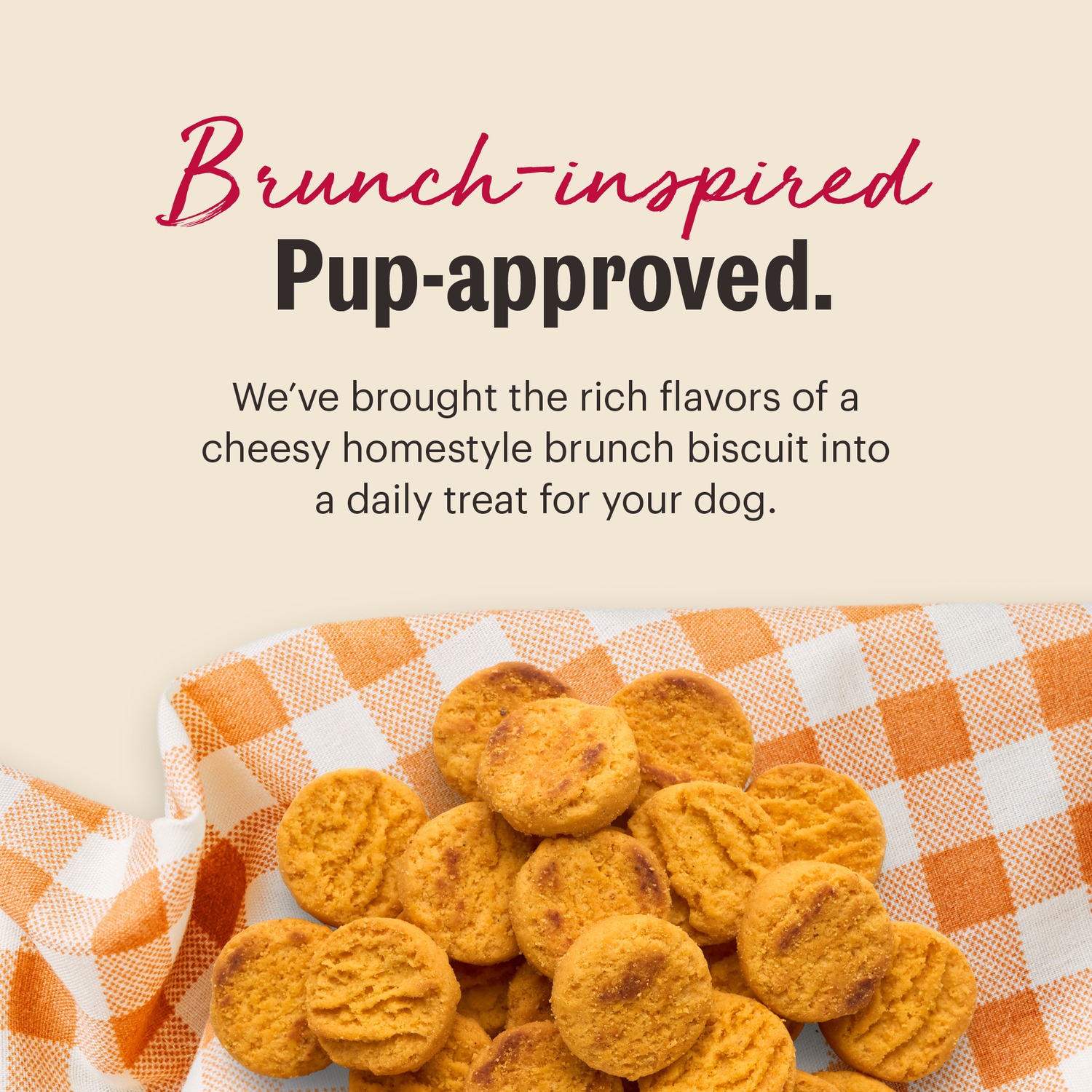 The Honest Kitchen Cheddar Biscuits Crunchy Dog Treats, 3.5-Oz