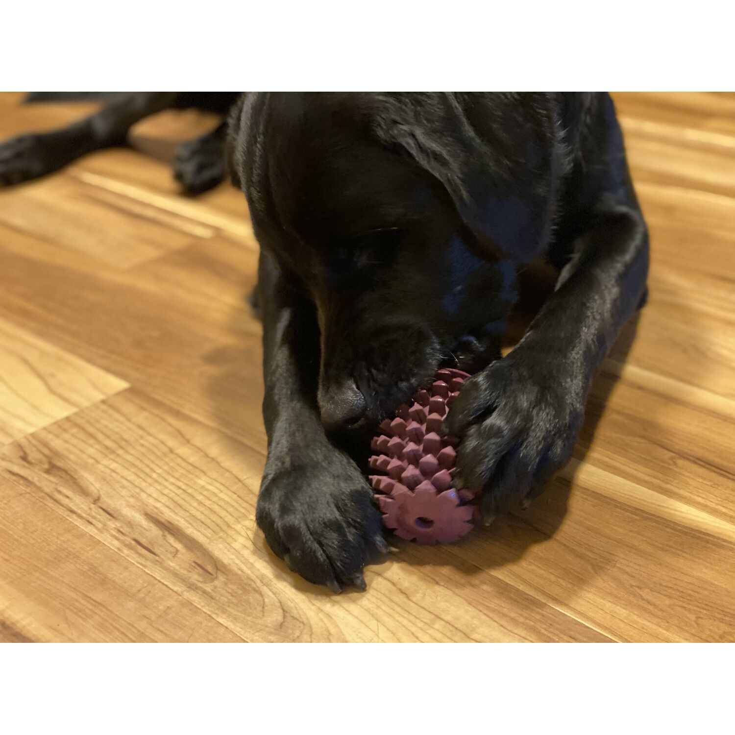Tall Tails Rubber Pinecone Textured Treat Dispensing Dog Toy, 4"